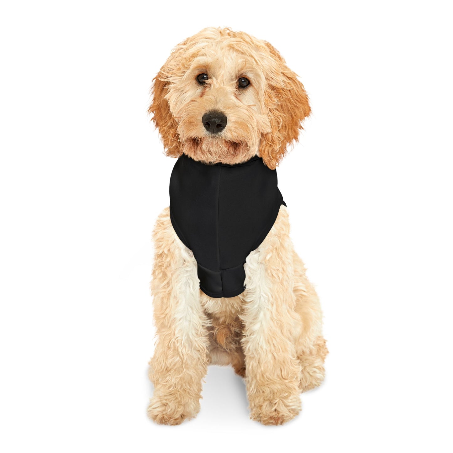 Dmitri's Hoodie