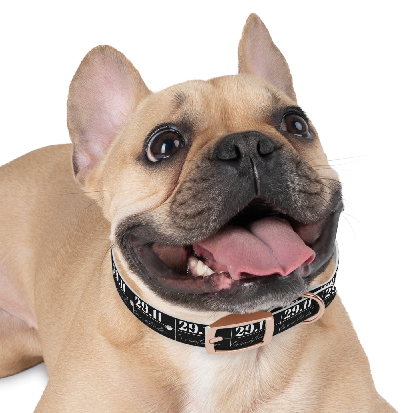 2911 For Pets Collar