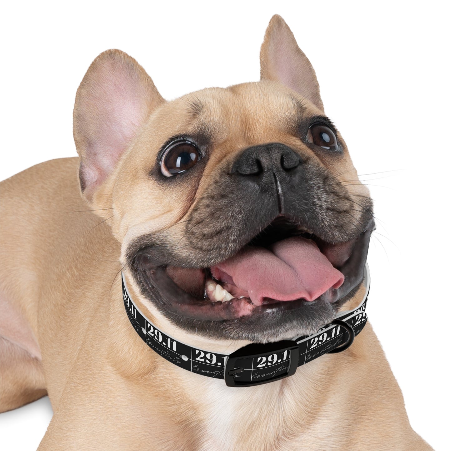 2911 For Pets Collar