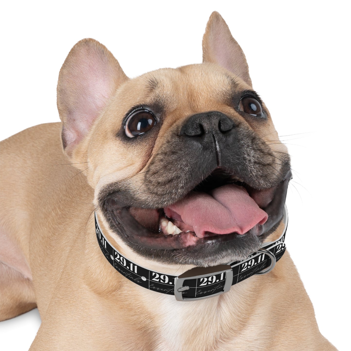 2911 For Pets Collar