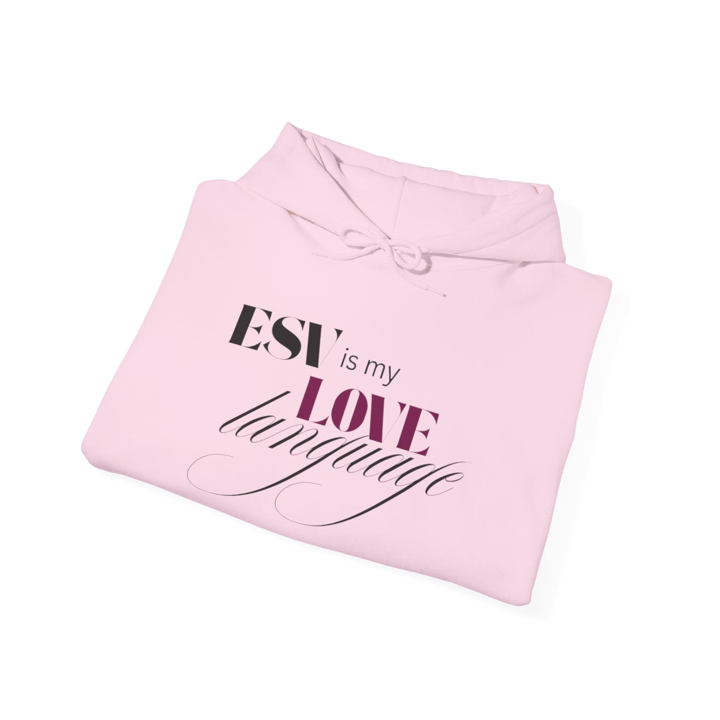 ESV Love Language Hoodie